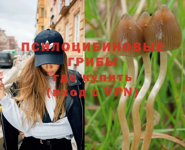 бошки Нягань