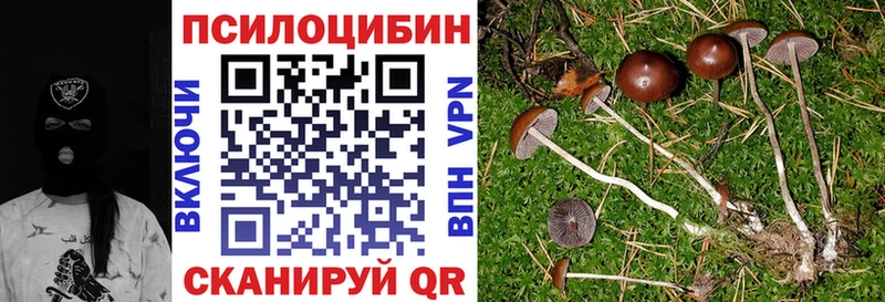 Псилоцибиновые грибы GOLDEN TEACHER Калачинск
